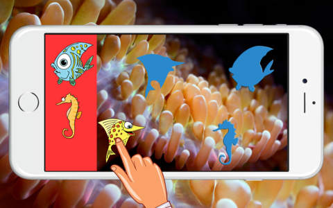 Big Fish Aquarium Animals Jigsaw Drag And Drop Puz - náhled