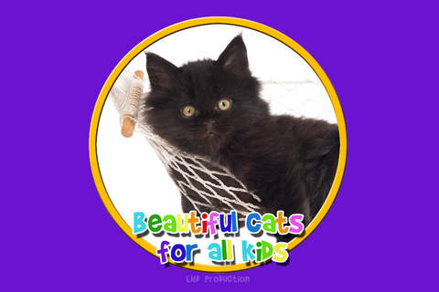 beautiful cats for all kids - free game - náhled