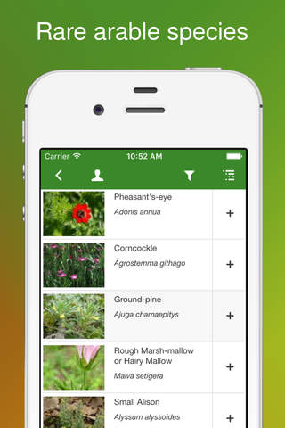 Rare Arable Flowers - náhled