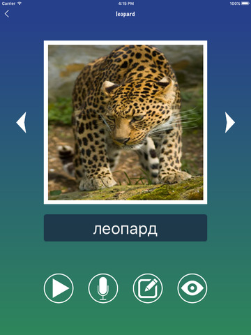 Russian Word Flashcards Learn screenshot 8