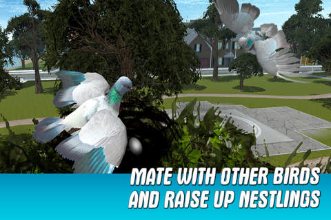 City Pigeon Simulator 3D - náhled
