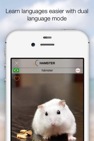 Animal Sounds : 140+ Amazing images and sounds of  - náhled