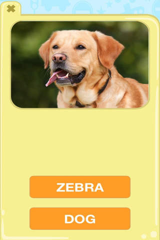 Animal Picture Matching Kids Games:Memory Matches - náhled
