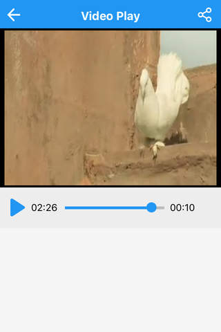 Add Audio to Video - Add New, Remove, Change Music - náhled