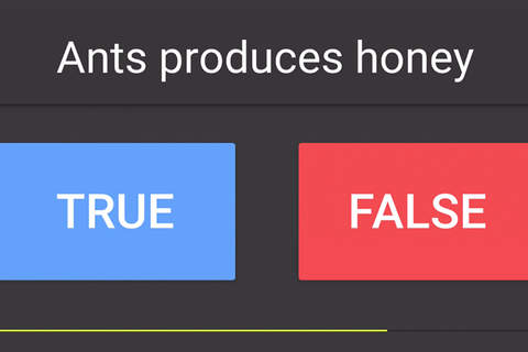 Easy Animal Quiz - Free Animals Puzzle Game For Ki - náhled