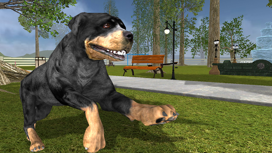 rottweiler dog life simulator