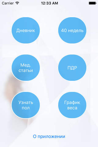 Дневник беременности  9 месяцев - náhled
