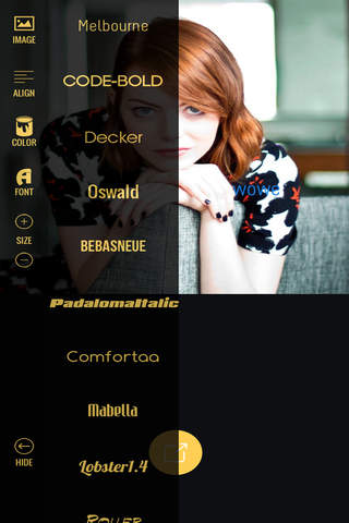 Text on Pictures - náhled