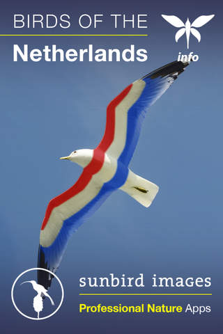 Birds of the Netherlands - a field guide to identi - náhled
