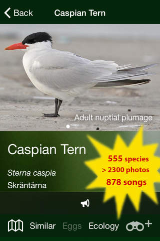 All Birds Sweden - A Complete Field Guide to the O - náhled