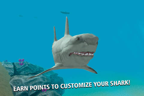 Wild Crazy Shark Simulator 3D - náhled