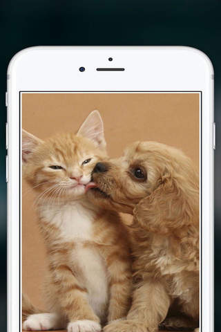 Cute Puppies Wallpapers  - dog pictures for free! - náhled