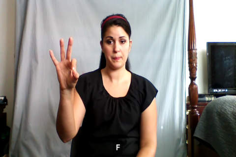 American Sign Language Guide - náhled