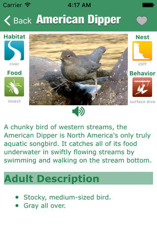 Bird Guide - Offline bird identification app - náhled