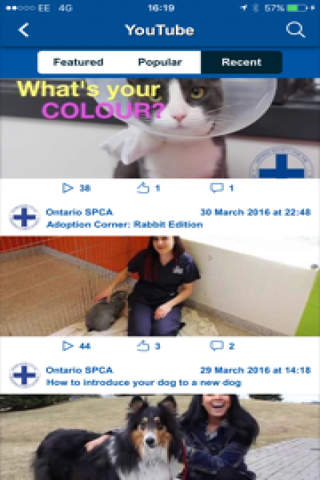 Ontario SPCA - náhled