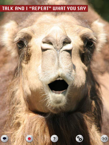 Talking Camel - náhled