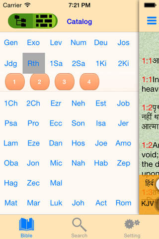 Hindi-English Bilingual Indian Audio Holy Bible - náhled