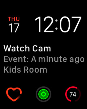 Watch Cam for Nest Cam screenshot 8