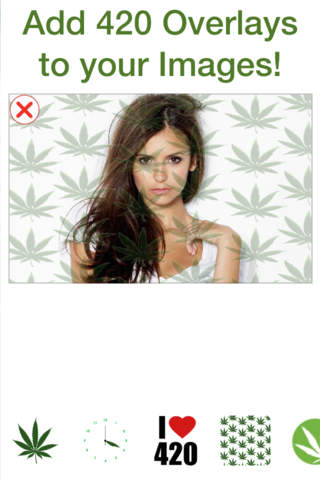 420 - náhled
