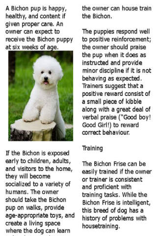 Bichon Boutique:Bichon Frise Magazine - náhled