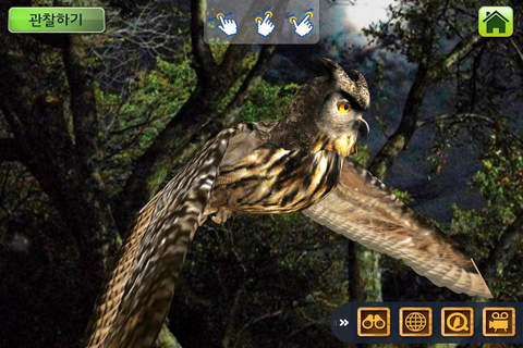EVO BIRD - Augmented Reality - náhled
