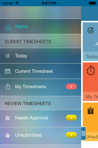 CA Clarity Mobile Time Manager - náhled