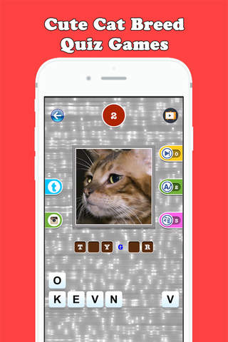 Cute Cat Breed Quiz Games - náhled