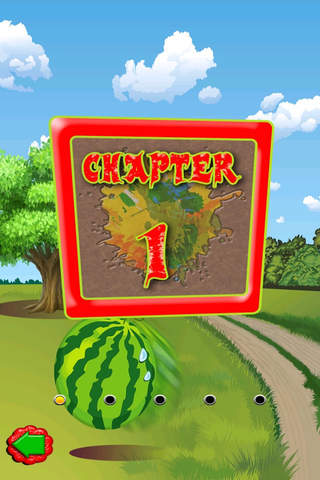 Watermelons - Splash Those Fruitss - náhled