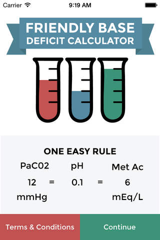Base Deficit Calculator - náhled