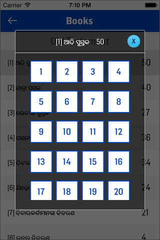 Oriya Bible - náhled