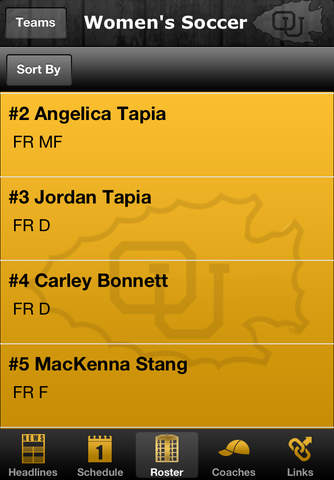 Ottawa Braves - náhled