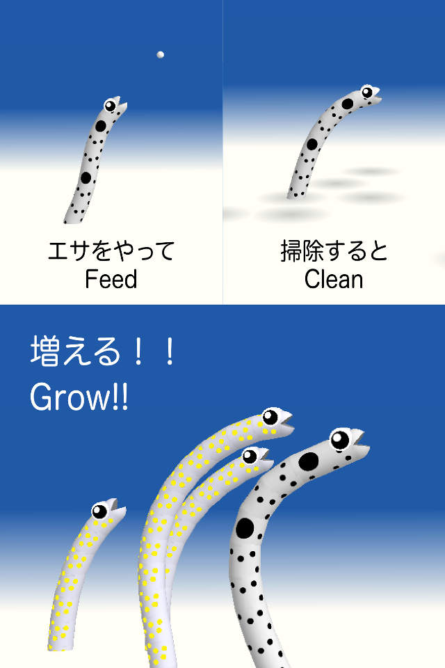 garden eel