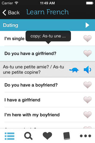 Learn French HD - Phrasebook for Travel in France - náhled