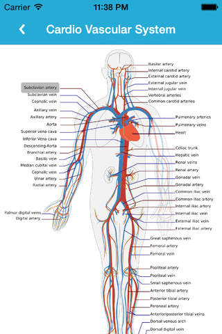 Anatomy Guide (Pocket Book) - náhled