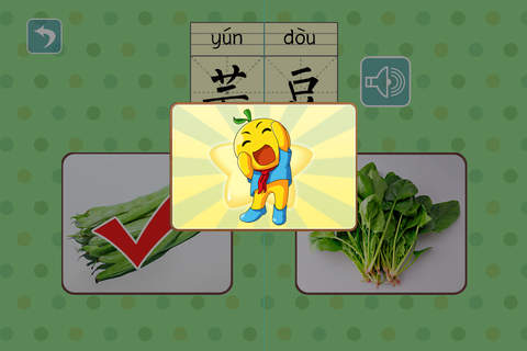 宝宝早教认蔬菜 - náhled