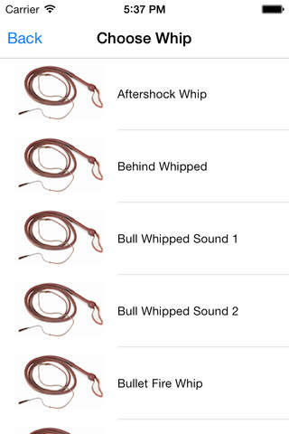 Whip it - Pocket Whip Sounds Pro - náhled