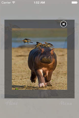 Free Wild Animal Jigsaw Puzzle - náhled