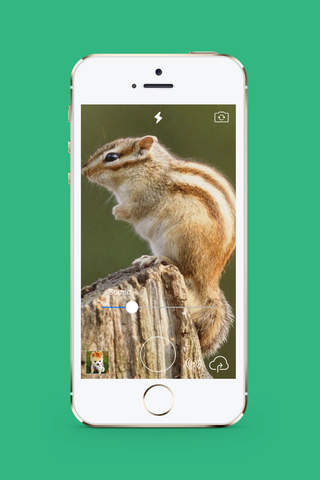 Stage Camera HD(StageCameraHD) - selfie recorder c - náhled