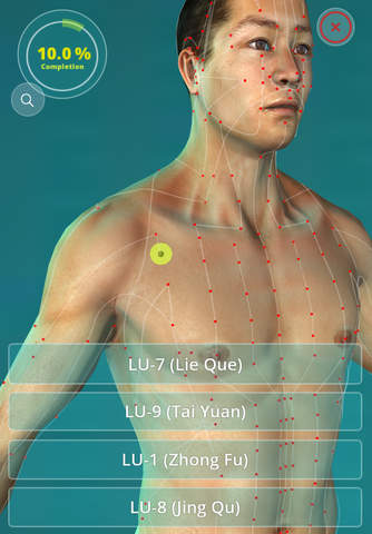 Acupuncture Quiz - Point Locations - náhled