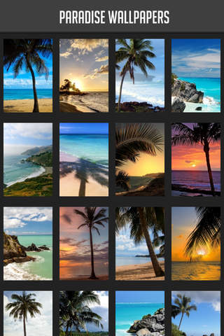 Paradise Wallpaper - náhled