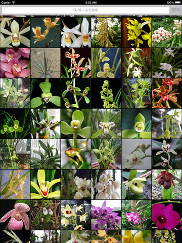 兰花大全-各种兰科植物 screenshot 7