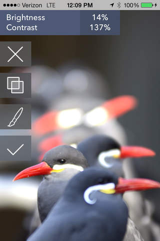 Filterstorm Neue - náhled