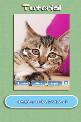 Aha-Experience Landscapes of the cat - náhled