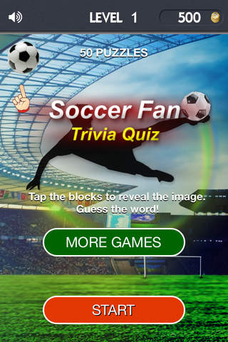 2015 Soccer Fan Trivia Quiz Stumper - Guess Your F - náhled