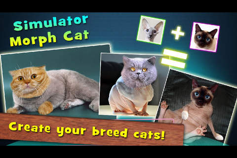 Simulator Morph Cat - náhled