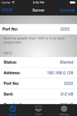 TCP Console - náhled