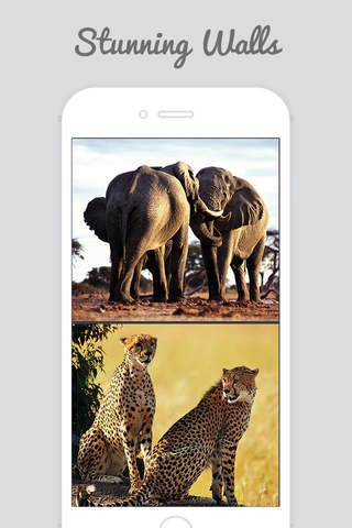 African Zoo - náhled