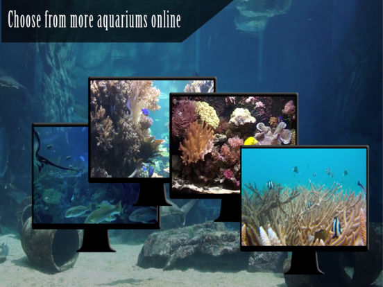 Ocean Aquarium HD screenshot 5